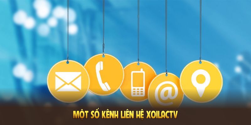 Một số kênh liên hệ xoilac tv chính bạn cần biết